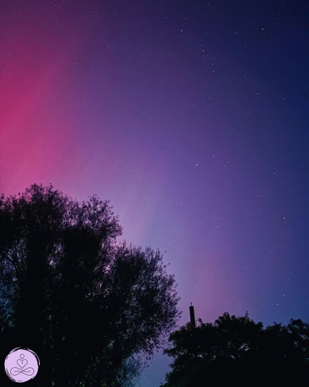 Embracing the Power of Small&nbsp;Steps